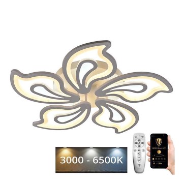 LED Dimmable surface-mounted chandelier LED/125W/230V 3000-6500K + remote control