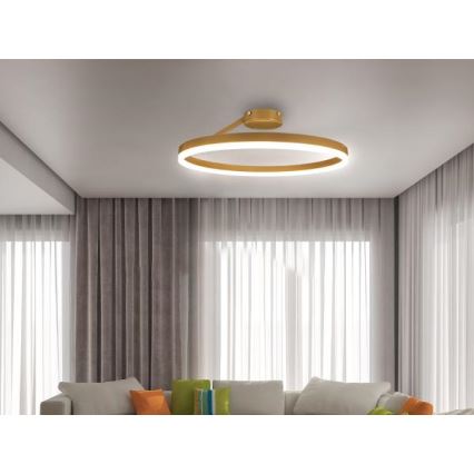 LED Dimmable surface-mounted chandelier LED/40W/230V 3000-6500K gold + remote control