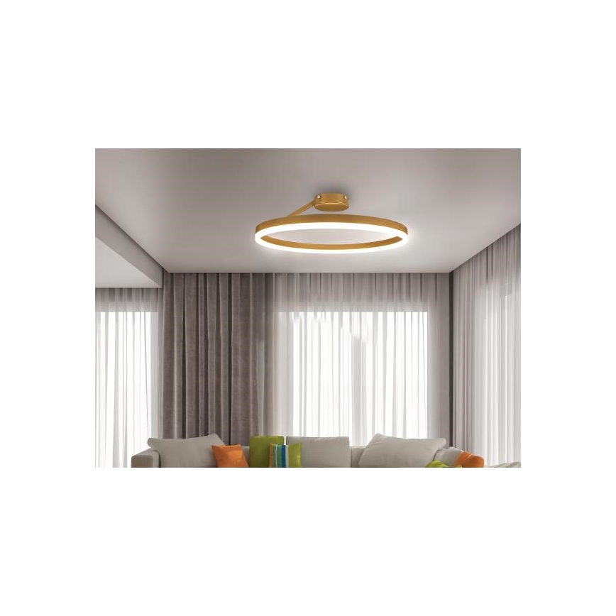 LED Dimmable surface-mounted chandelier LED/40W/230V 3000-6500K gold + remote control