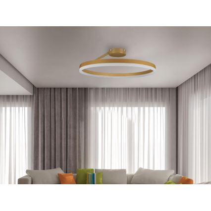 LED Dimmable surface-mounted chandelier LED/40W/230V 3000-6500K gold + remote control