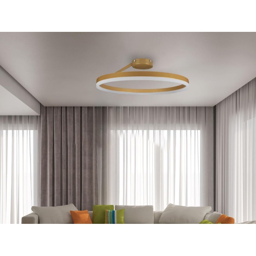 LED Dimmable surface-mounted chandelier LED/40W/230V 3000-6500K gold + remote control