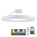 LED Dimmable surface-mounted chandelier LED/40W/230V 3000-6500K white + remote control
