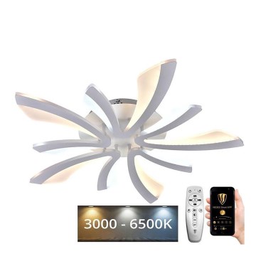 LED Dimmable surface-mounted chandelier LED/55W/230V 3000-6500K + remote control