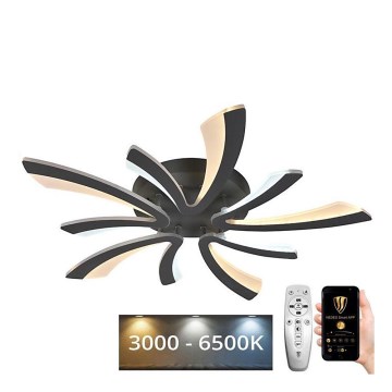 LED Dimmable surface-mounted chandelier LED/55W/230V 3000-6500K + remote control