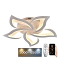 LED Dimmable surface-mounted chandelier LED/55W/230V 3000-6500K + remote control