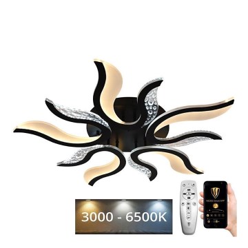 LED Dimmable surface-mounted chandelier LED/65W/230V 3000-6500K black + remote control