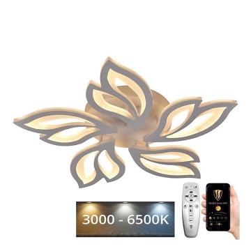 LED Dimmable surface-mounted chandelier LED/65W/230V 3000-6500K + remote control
