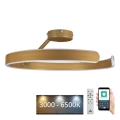 LED Dimmable surface-mounted chandelier LED/72W/230V 3000-6500K gold + remote control