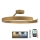 LED Dimmable surface-mounted chandelier LED/72W/230V 3000-6500K gold + remote control