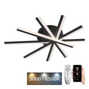 LED Dimmable surface-mounted chandelier LED/75W/230V 3000-6500K + remote control