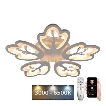 LED Dimmable surface-mounted chandelier LED/80W/230V 3000-6500K + remote control
