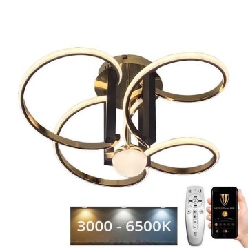 LED Dimmable surface-mounted chandelier LED/80W/230V 3000-6500K + remote control