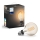 LED Dimming bulb Philips Hue WHITE FILAMENT G93 E27/7W/230V 2100K