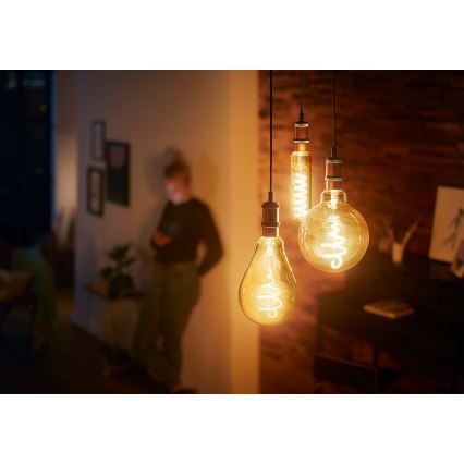 LED Dimming bulb VINTAGE Philips A160 E27/6,5W/230V 2000K