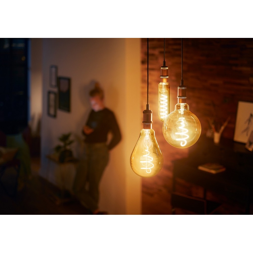 LED Dimming bulb VINTAGE Philips A160 E27/6,5W/230V 2000K