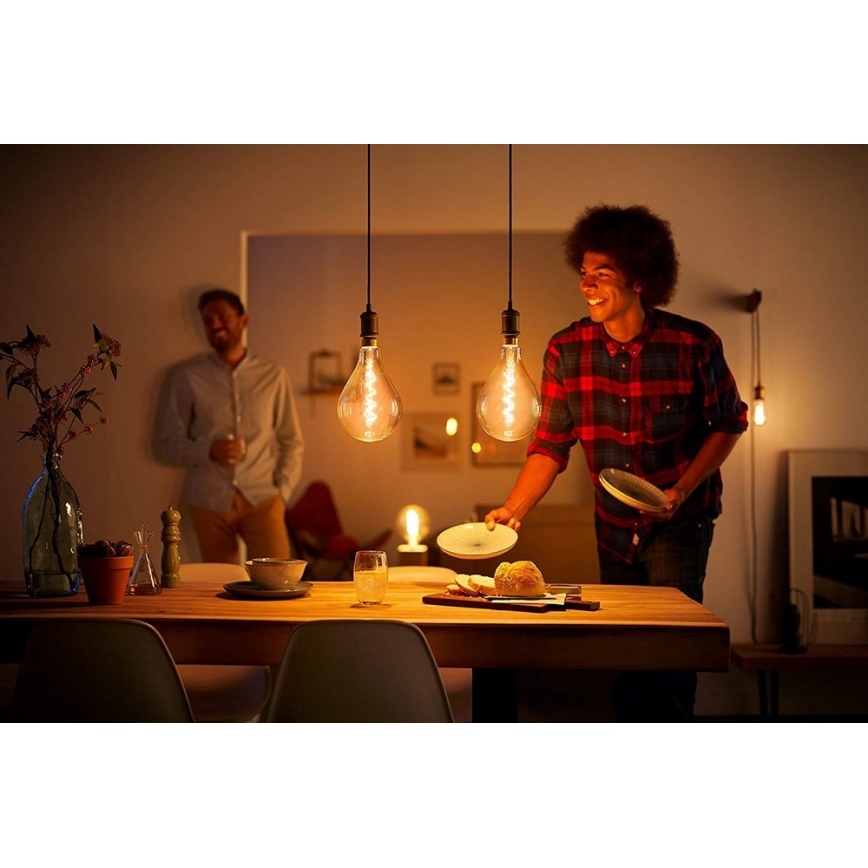 LED Dimming bulb VINTAGE Philips A160 E27/6,5W/230V 2000K