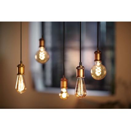 LED Dimming bulb VINTAGE Philips G93 E27/4W/230V 1800K