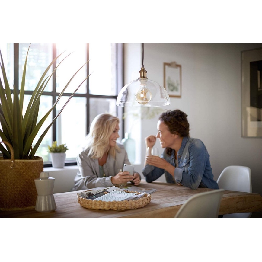 LED Dimming bulb VINTAGE Philips G93 E27/4W/230V 1800K