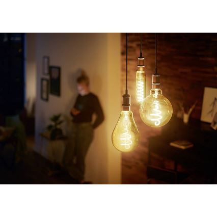 LED Dimming bulb VINTAGE Philips T65 E27/6,5W/230V 2000K