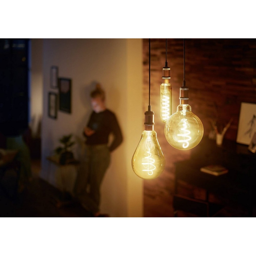 LED Dimming bulb VINTAGE Philips T65 E27/6,5W/230V 2000K