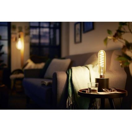 LED Dimming bulb VINTAGE Philips T65 E27/6,5W/230V 2000K