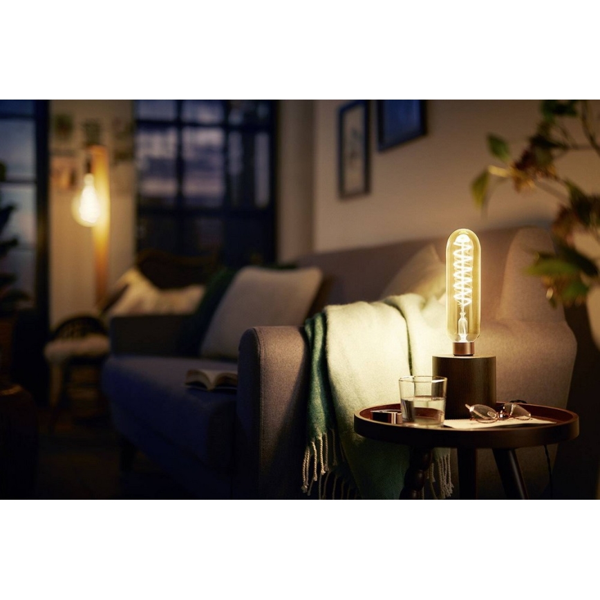 LED Dimming bulb VINTAGE Philips T65 E27/6,5W/230V 2000K