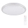 LED Dimming ceiling light IRINA LED/48W/230V with remote control