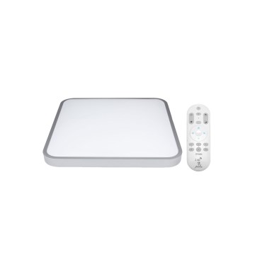 LED Dimming ceiling light LED/50W/230V