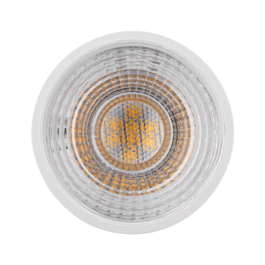 LED Dimming Flood Light Bulb GU5.3/6.5W/12V 2700K – Paulmann 28758