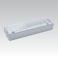 LED Emergency Light CARLA 5.51W/230V 1h/900 mAh IP65