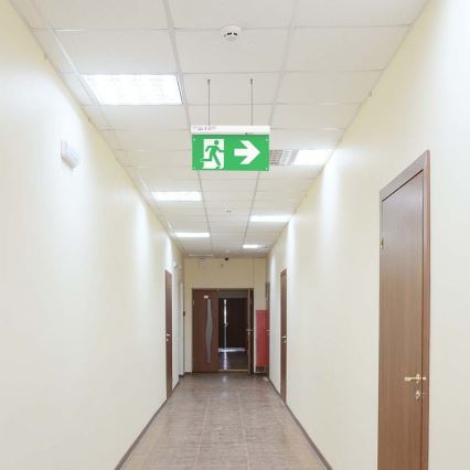 LED Emergency light EMERGENCY EXIT LED/2,5W/230V 4in1 6000K