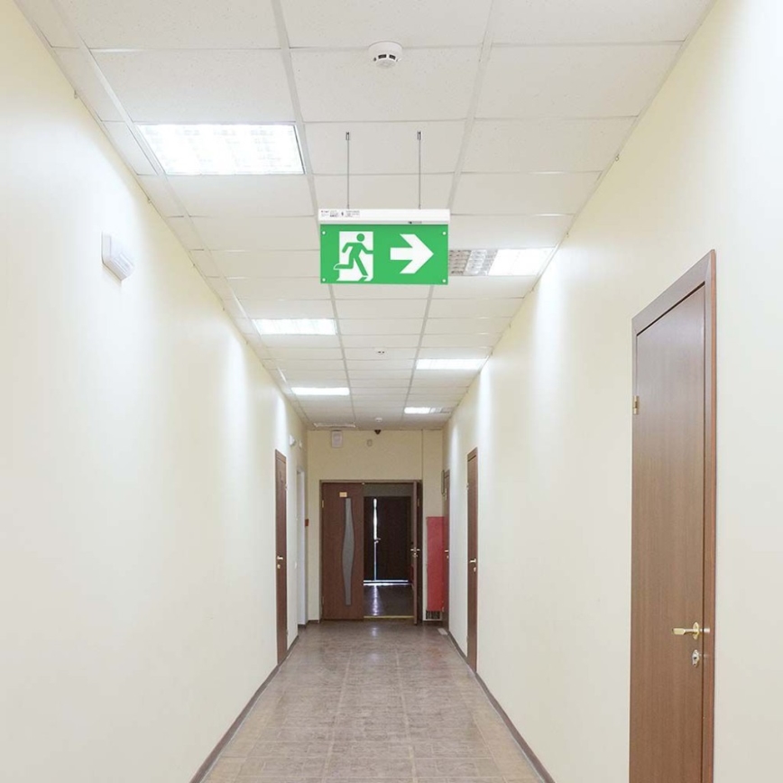 LED Emergency light EMERGENCY EXIT LED/2,5W/230V 4in1 6000K