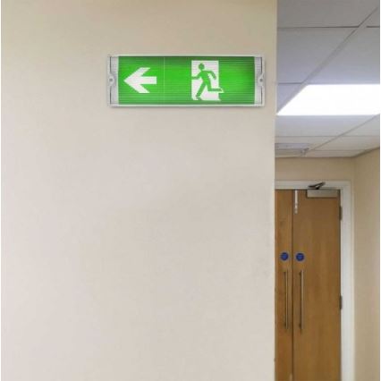 LED Emergency light with a regular functionality test EMERGENCY EXIT LED/3W/230V 6400K IP65