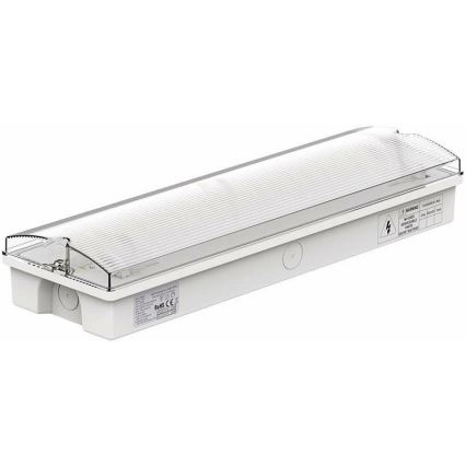 LED Emergency light with a regular functionality test EMERGENCY EXIT LED/3W/230V 6400K IP65