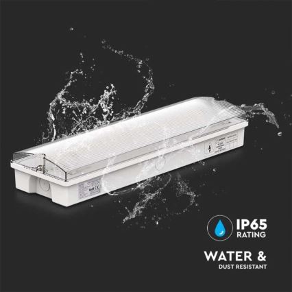 LED Emergency light with a regular functionality test EMERGENCY EXIT LED/3W/230V 6400K IP65