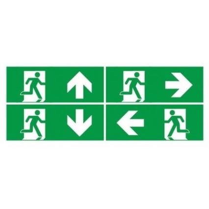 LED Emergency light with a regular functionality test EMERGENCY EXIT LED/3W/230V 6400K IP65