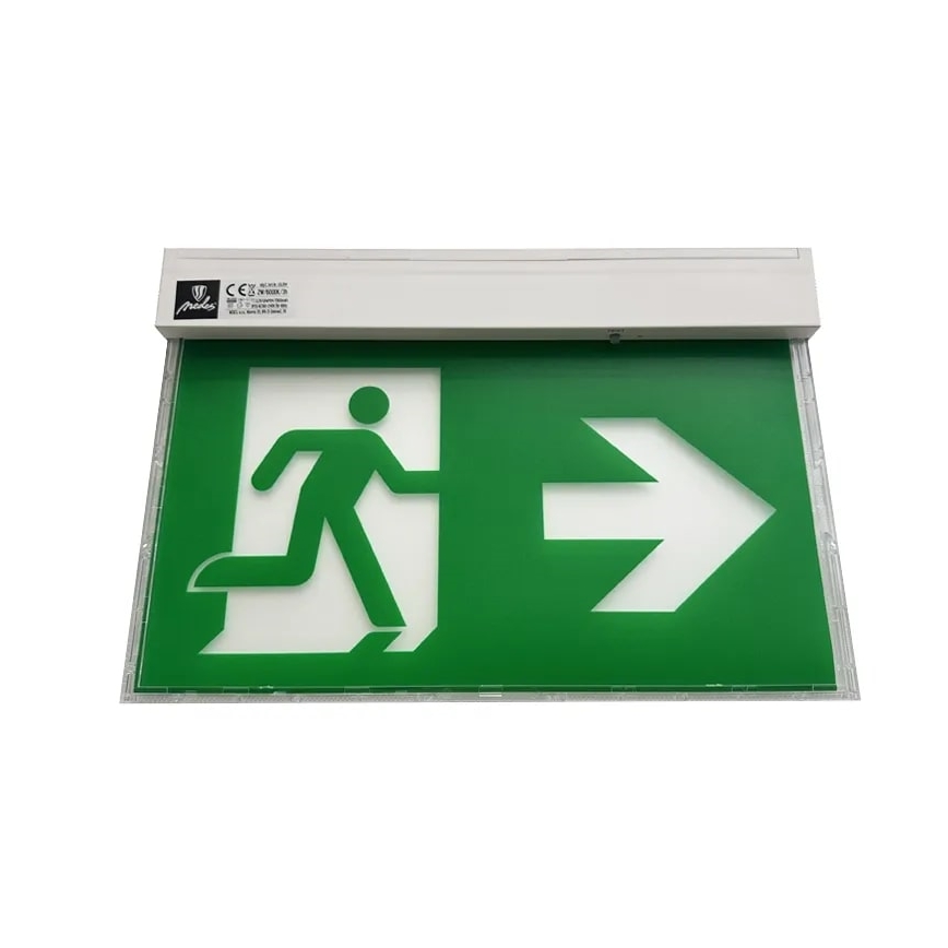 LED Emergency light LED/2W/230V 6000K 1500 mAh