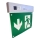 LED Emergency light LED/2W/230V 6000K 300 mAh