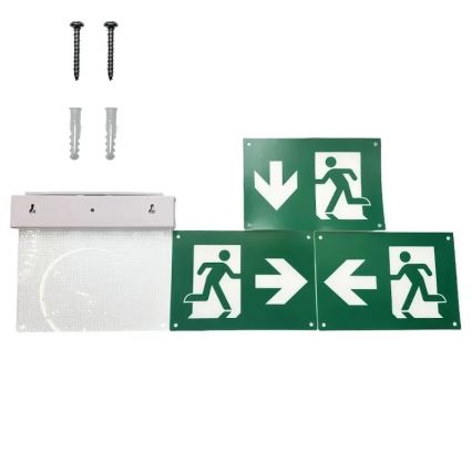 LED Emergency light LED/2W/230V 6000K 300 mAh