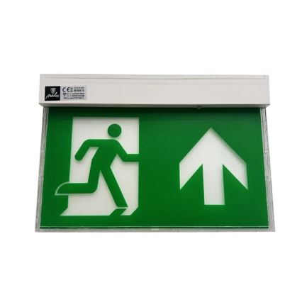 LED Emergency light LED/2W/230V 6000K
