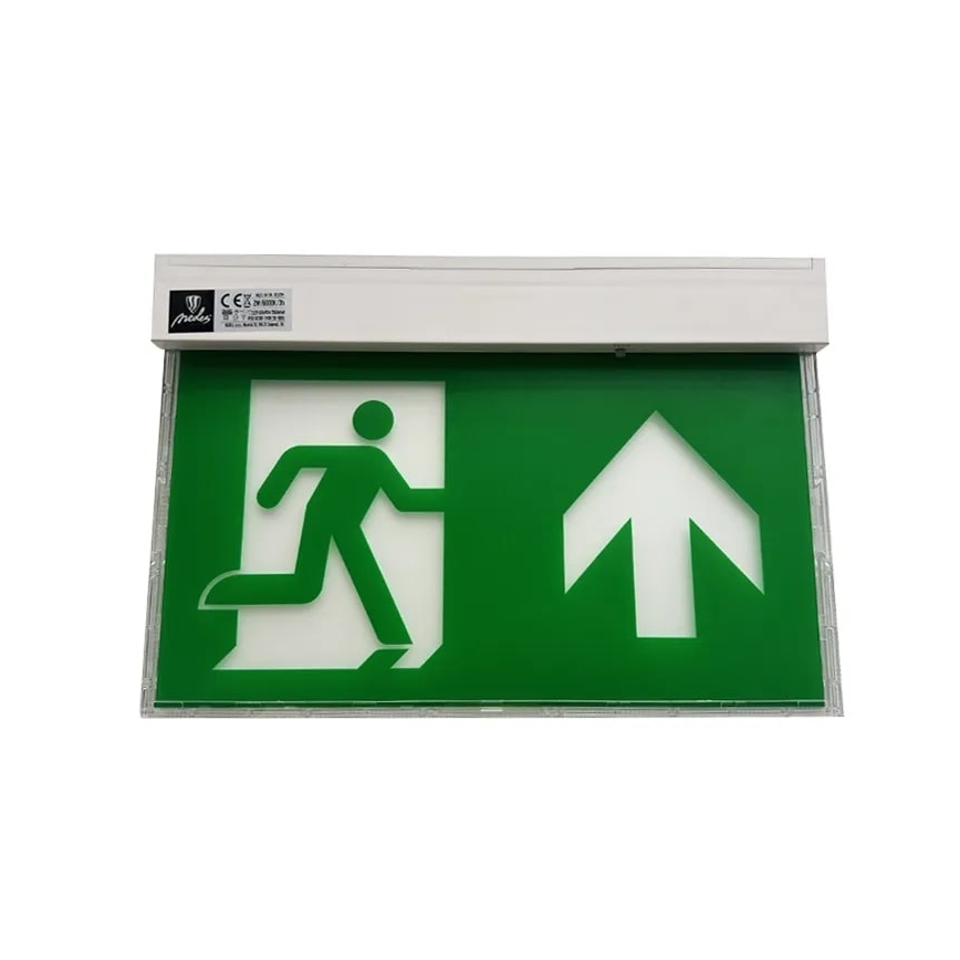 LED Emergency light LED/2W/230V 6000K