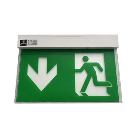 LED Emergency light LED/2W/230V 6000K