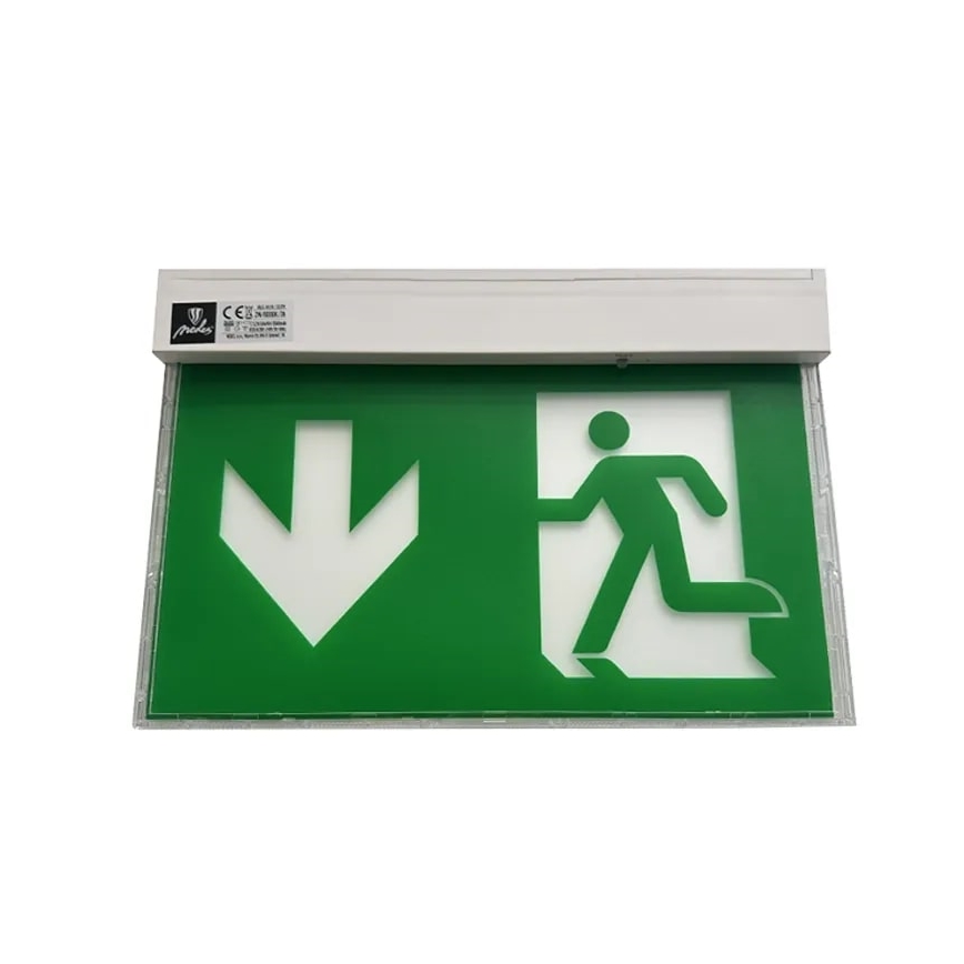 LED Emergency light LED/2W/230V 6000K