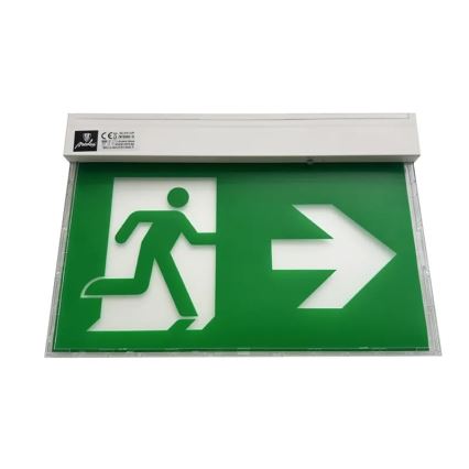 LED Emergency light LED/2W/230V 6000K