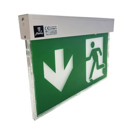LED Emergency light LED/2W/230V 6000K