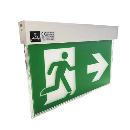 LED Emergency light LED/2W/230V 6000K