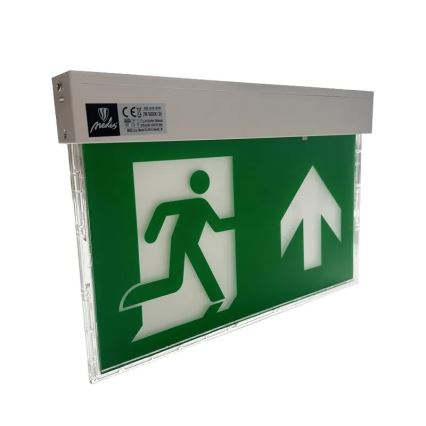 LED Emergency light LED/2W/230V 6000K