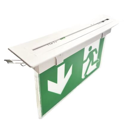LED Emergency light LED/2W/230V 6000K