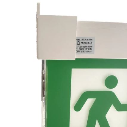 LED Emergency light LED/2W/230V 6000K