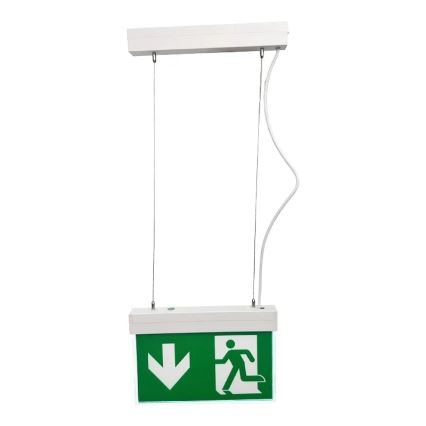 LED Emergency light LED/2W/230V 6000K